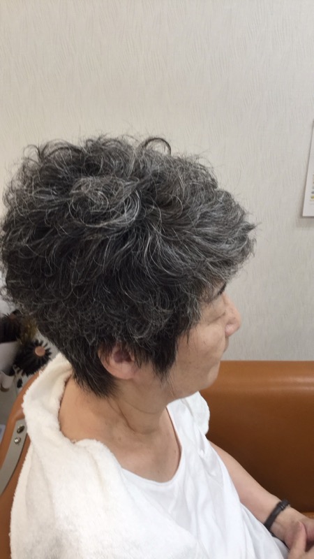 グレーヘア・ハイライトスタイル